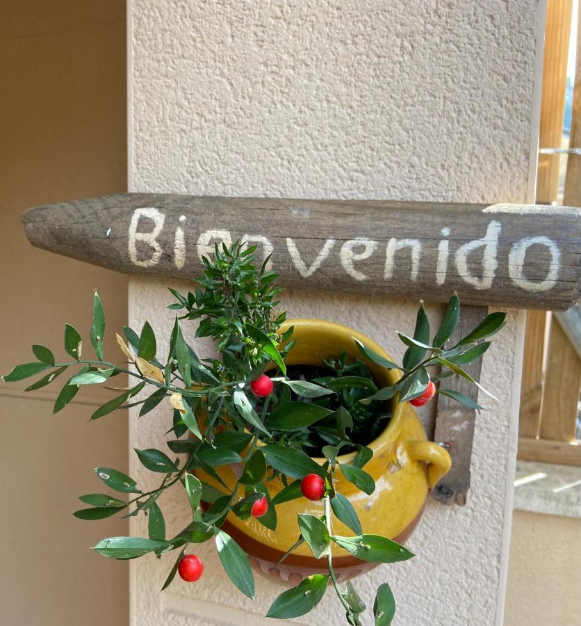 Raco Del Garraf Ca La Matilde House Bbq And Pool Villa Olivella Екстериор снимка